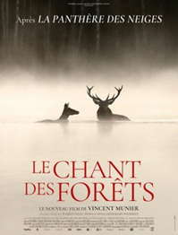 Le_chant_des_Forêts.png